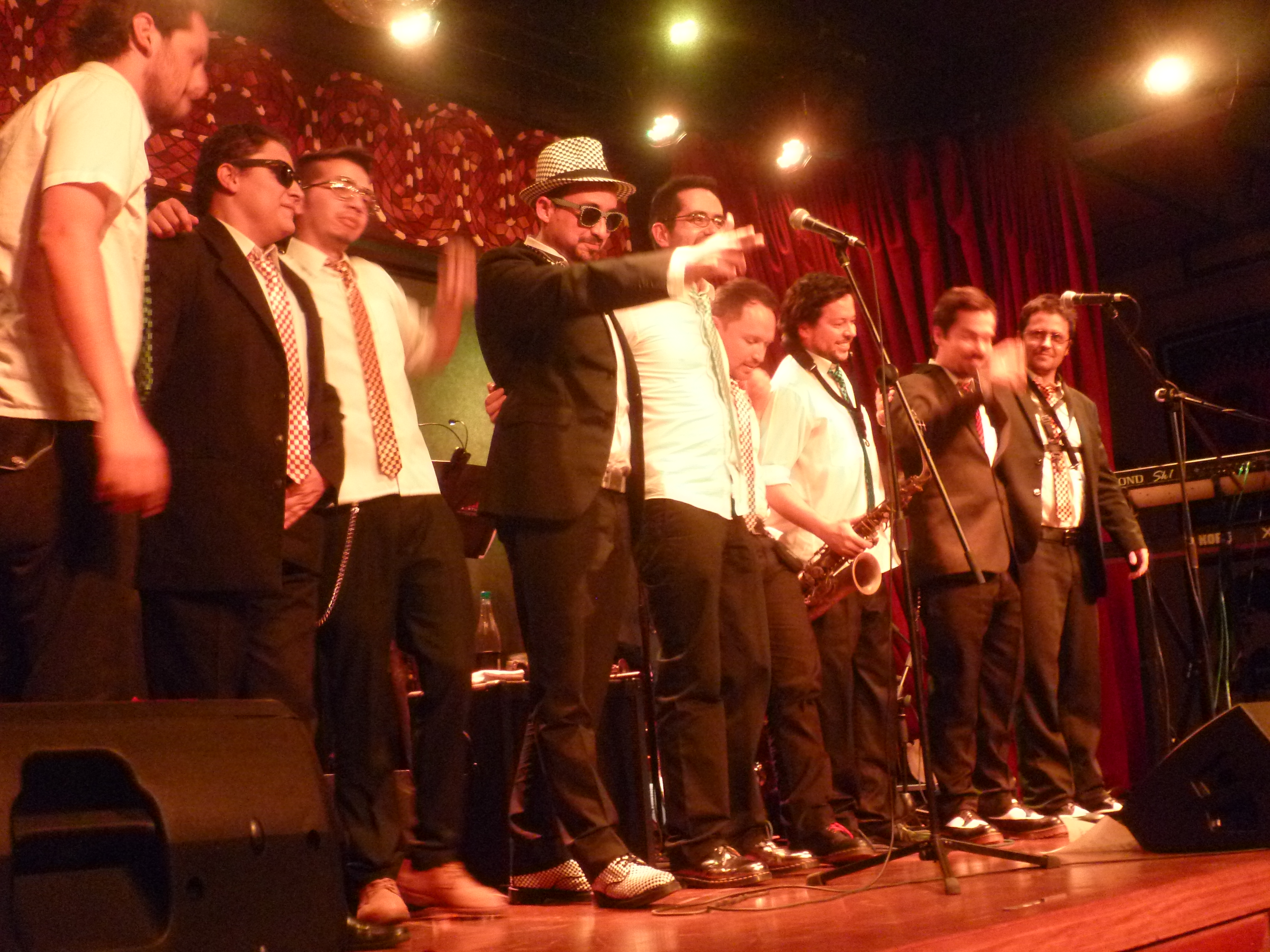 Con disco nuevo Los Elefantes celebran sus 20 años